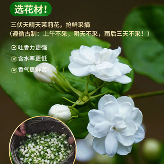 吴裕泰 茉莉花茶 特种小鲜罐100g 老北京花茶六窨浓香