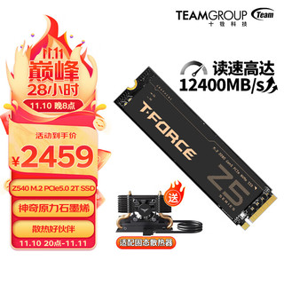 Team 十铨 科技Z540 M.2接口PCIe 5.0 NVMe2.0 2TB SSD固态硬盘