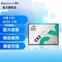 Team 十铨 科技 （Team）SSD固态硬盘CX2 GT2台式机笔记本电脑适用 SATA3 十铨 CX2 1T