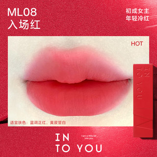 INTO YOU哑光口红丝绒不拔干雾面女  ML08