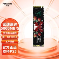 FANXIANG 梵想 S690 NVMe M.2 固态硬盘（PCI-E4.0）