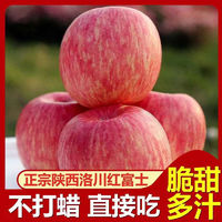 黄花地 陕西洛川红富士苹果  5斤装  大果  7-9个