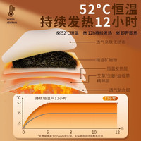 PISSA 暖宝宝30片