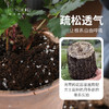 海蒂的花园 营养土养花专用通用泥炭椰砖种植土盆栽月季绣球颗粒土