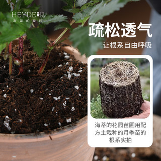 营养土养花专用通用泥炭椰砖种植土盆栽月季绣球颗粒土
