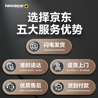 Lecoco 乐卡 儿童滑板车宝宝折叠滑行车1-3-6岁可坐二合一溜溜车 V2云雾咖