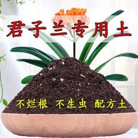 君子兰土养花营养土阳台盆栽土花卉土兰花土种花土壤肥料