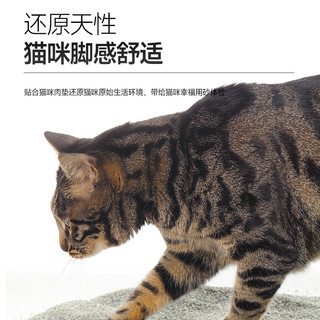 EVER CLEAN 铂钻 蓝钻猫砂豆腐伴侣混合砂祛味膨润土钠基矿除臭沙6磅