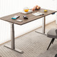 PLUS会员：Loctek 乐歌 E5N 电动升降桌 白桌腿+浅灰木纹 1.2m