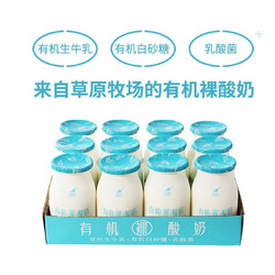 JIN SHI DAI 今时代 酸奶  有机裸酸奶150g*12瓶
