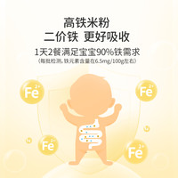 EARTH'S BEST 地球米粉婴儿高铁宝宝辅食有机大米粉核桃油