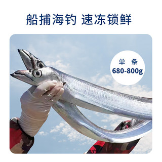 今锦上东山岛海钓带鱼礼盒2.1kg/盒（3条）680-800g/条整条带鱼中秋礼盒