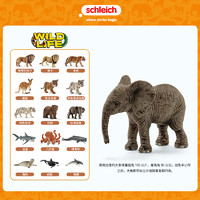 Schleich 思乐 动物模型儿童野生动物仿真模型玩具非洲小象14763