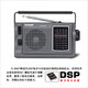 TECSUN 德生 R-304P收音机新款便携式全波段老人复古老式立体声半导体广播