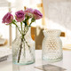 姝好 欧式创意玻璃花瓶简约网红水培鲜花植物富贵竹插花瓶餐桌装饰摆件