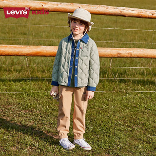 Levi's李维斯儿童装男童羽绒服保暖内胆连帽外套上衣 鼠尾草绿 160/80(XL)