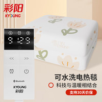 彩阳电热毯双人双控1.8*1.5定时可水洗电褥子除螨湿家用自动断电印花