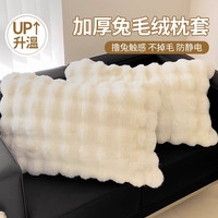 南极人兔毛绒枕套48X74cm一对装冬季单人用保暖珊瑚绒枕头套枕芯内胆套 J托斯卡纳-白【兔毛绒枕套】 48X74cm【一对装】