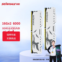 SEIWHALE 枭鲸 台式机内存条 DDR5 32G(16Gx2)套装6000 电竞漫游