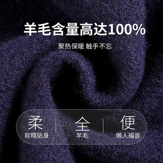 杉杉【100%棉羊毛】羊毛衫男商务休闲翻领柔软毛衣打底衫 藏青 175/92A