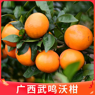 探味君 广西武鸣沃柑2斤新鲜水果当季整箱一级沙糖蜜橘砂糖柑橘桔子橘子