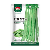 千特 蔬菜种子各种常种蔬菜大全菜种子家庭菜籽四季种植 红花四季豆约30粒