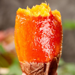 正宗山东烟薯25号净重5斤