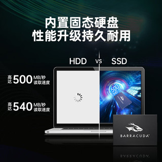 SEAGATE 希捷 256GB SSD固态硬盘SATA3.0接口 台式机笔记本电脑硬盘 读速高达540MB/s 希捷酷鱼