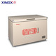 XINGX 星星 商用冰柜大容量 卧式冷藏冷冻单温转换冰柜  BD/BC-401A