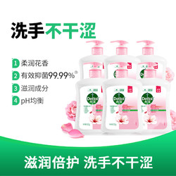 Dettol 滴露 洗手液500g*6瓶+赠免洗洗手液50ml*2瓶