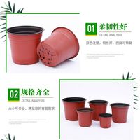 育苗杯双色花盆营养杯双色育苗盆一次性软塑料花盆绿植多肉扦插盆