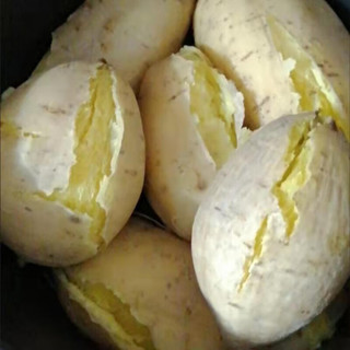 颜曼箐潮汕番薯农家新鲜自种现挖白皮黄心板栗红薯干粉糯甜鸡蛋品种地瓜 2斤 大果  1斤左右/每个