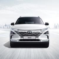 现代汽车中国 HYUNDAI  中国   中国     中国   中国  现代 Nexo  23款 550km 标准版