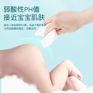 惠寻京东自有品牌 便携式纯水湿巾10片装 成人婴儿手口清洁纸巾 10片*1包