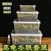 宠以沫（CHONG YIMO）乌龟冬眠用品过冬装备套装小房子小箱沙土无菌土蛭石苔藓爬宠垫材 30g苔藓