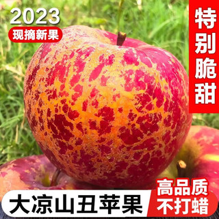 蜜企味 大凉山盐源丑苹果 净重9斤