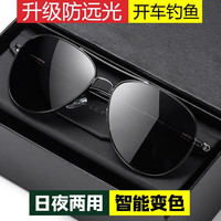 DAILISI 代利斯 日夜两用感光变色偏光太阳镜男士开车眼镜墨镜钓鱼蛤