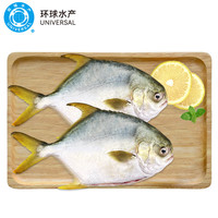 UNIVERSAL 环球水产 冷冻南海二去金鲳鱼700g 2条 去鳃去脏 BAP认证 生鲜鱼类
