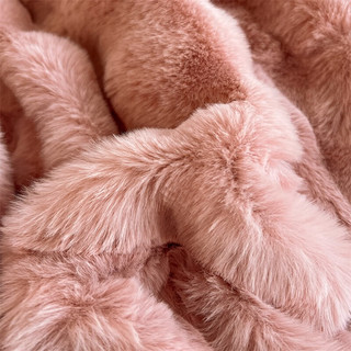 南极人 冬季兔兔绒四件套牛奶绒床笠款加绒加厚裸睡毛绒床单被套床上用品 兔兔绒