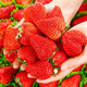 风之郁 草莓红颜99奶油大草莓  4斤单果15- 20g 值友下单额外赠送1斤
