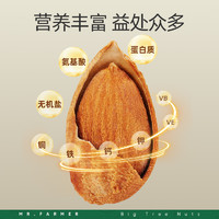 xinnongge 新农哥 巴旦木450g罐装奶油味美国带壳巴旦木坚果零食