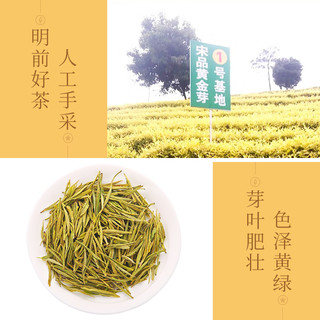 宋品 2023新茶明前特级绿茶黄金芽黄金叶250g10小罐茶叶礼盒装