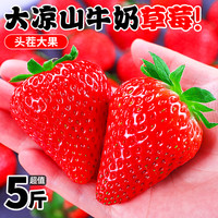大凉山草莓新鲜水果奶油红颜礼盒九九大99牛奶草莓一整箱5斤