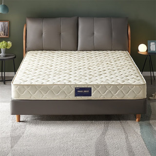 家居椰棕床垫双人弹簧床垫抗菌除螨护脊床垫 基础款|1.8米床垫厚21cm