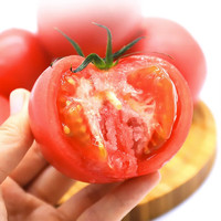 菲农西红柿 5斤 山东番茄新鲜蔬菜