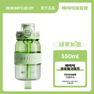 吨吨 BOTTLED JOY运动水壶渐变畅吨吨桶大容量水杯女顿顿桶随手杯 渐变畅吨吨550ml【绿草如茵】