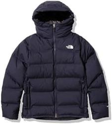 thenorthface北面双层保暖防风羽绒服派克大衣fw22