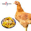 萨索 高山土鸡1.2kg冷冻农家散养120天土鸡公鸡母鸡童子鸡走地鸡