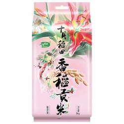 SHI YUE DAO TIAN 十月稻田 香稻贡米 1kg（2斤）