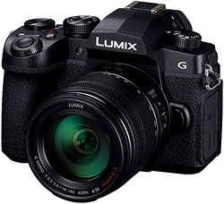 Panasonic 松下 电器 DC-G99D [LUMIX G99D 机身4/3系统传感器无反光镜相机]